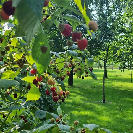 Doraki Nocleg ze śniadaniem Oldebroek