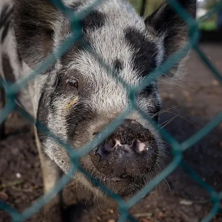 Nocleg ze śniadaniem Doraki
