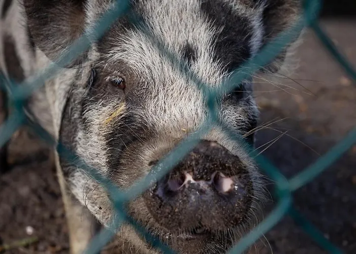 Bed & Breakfast Doraki