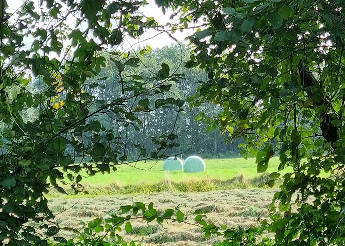 Doraki Bed & Breakfast 3*